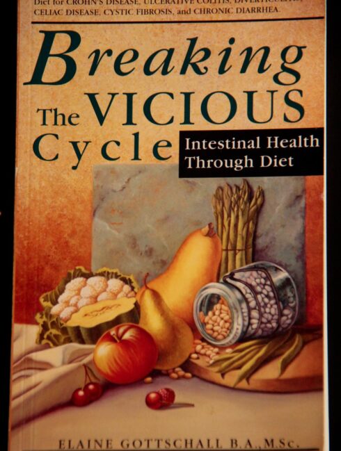 Breaking-the-Vicious-Cycle-BOOK-2